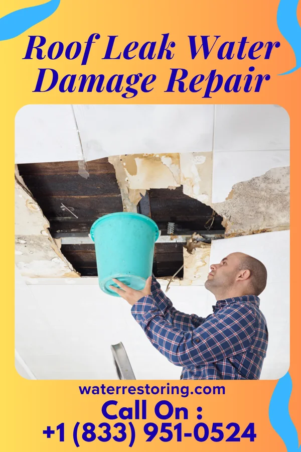 Roof Leak Water Damage Repair in Lake Como, NJ