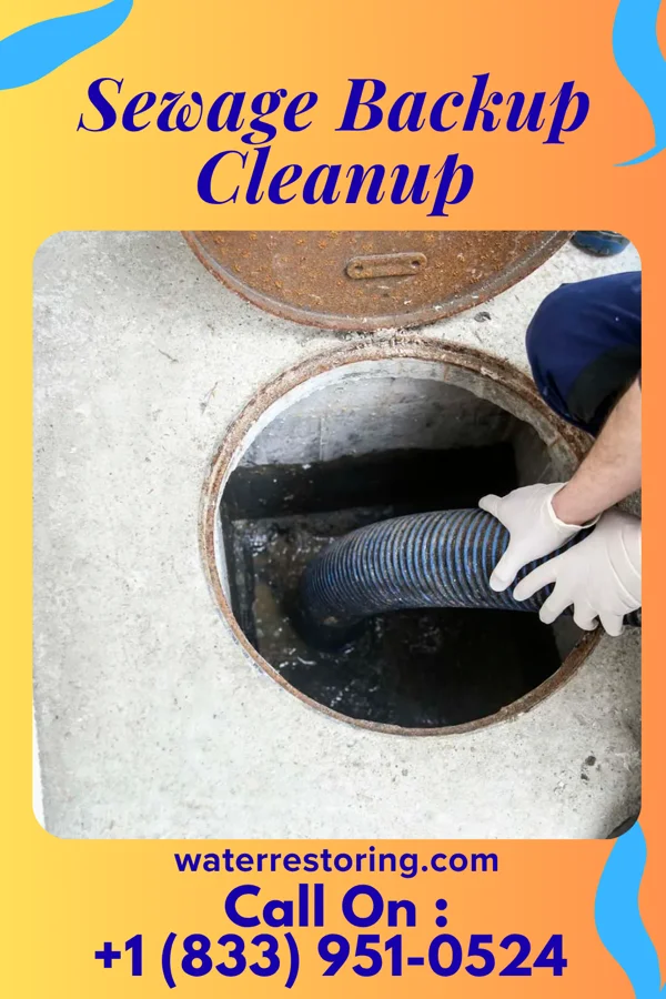 Sewage Backup Cleanup in Lake Como, NJ