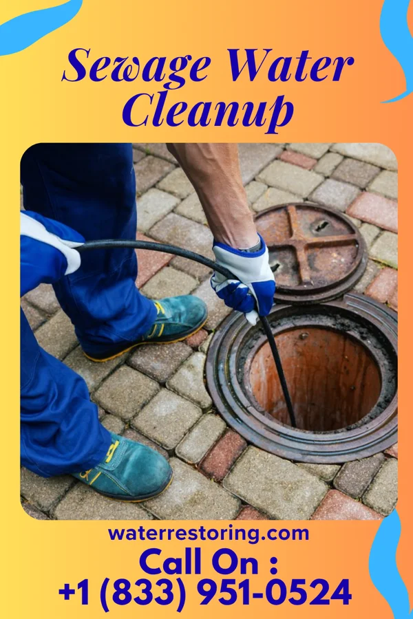 Sewage Water Cleanup in Lake Como, NJ